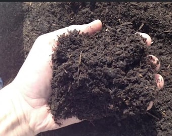 Humus de bosque silvestre / Suelo orgánico vivo, enmienda rica en microbios (bolsa de 10 libras)