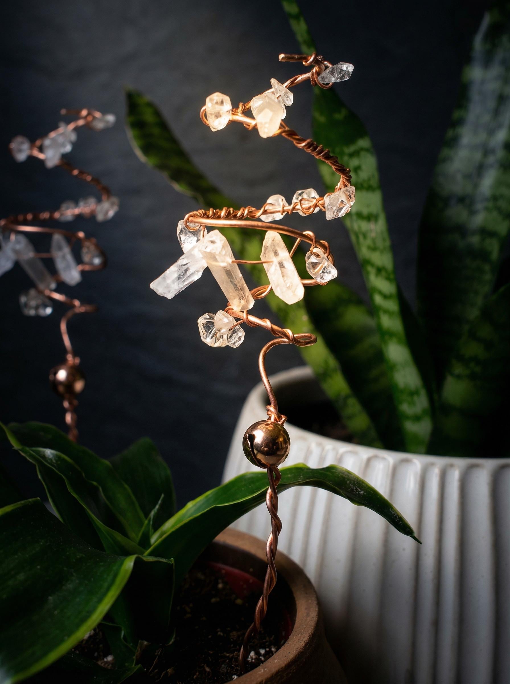Crystals Plant - Etsy