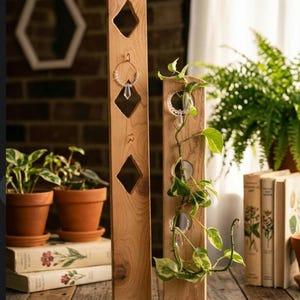 May include: Two tall, vertical wooden display stands with natural grain. The left stand features diamond-shaped cutouts and metal hooks. The right stand has circular cutouts and is wrapped in a trailing green pothos plant with variegated leaves.
