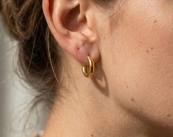 Hoop Earrings - Stainless Steel, Gold Plated, Everyday Jewelry
