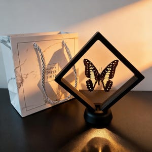 Könnte beinhalten: Ein gerahmtes Schmetterlingsdisplay mit schwarzem Rahmen und weißem Hintergrund. Der Schmetterling hat schwarz-gelbe Markierungen. Eine Geschenktüte mit dem Text "HAPPY SWEET TIMES" ist im Hintergrund.