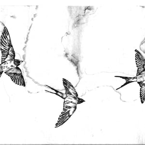 Flygande svalor. Handgjort suminagashi- och intagliotryck.