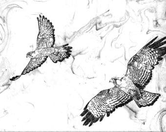Halcones peregrinos. Estampado suminagashi y grabado artesanal.