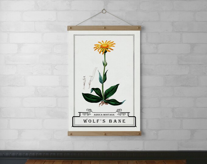 Botanical Typography Chart Wall Hanging, Wood Poster Hanger, Canvas Print, Walnut or White Oak with Brass Hardware, Framed Gift, Wolf's Bane