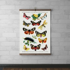 Butterflies Chart Wall Hanging, Canvas Print, Wood Hanging Frame, Real Walnut & White Oak with Brass Hardware, Art Gift for Her, Tapestry image 1
