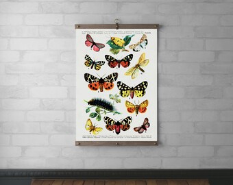 Butterflies Chart Wall Hanging, Canvas Print, Wood Hanging Frame, Real Walnut & White Oak with Brass Hardware, Art Gift for Her, Tapestry