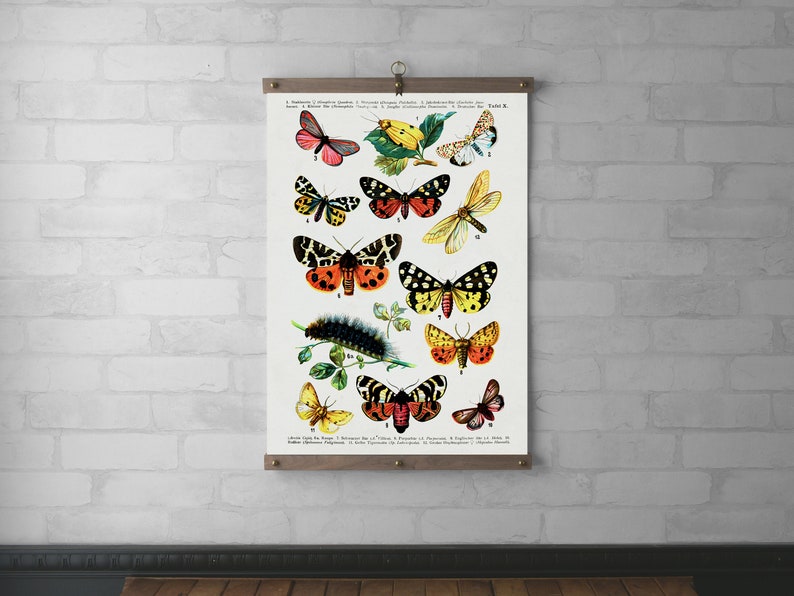 Butterflies Chart Wall Hanging, Canvas Print, Wood Hanging Frame, Real Walnut & White Oak with Brass Hardware, Art Gift for Her, Tapestry image 1