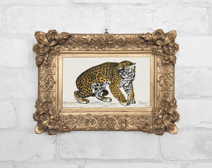 No.85 - Jaguar