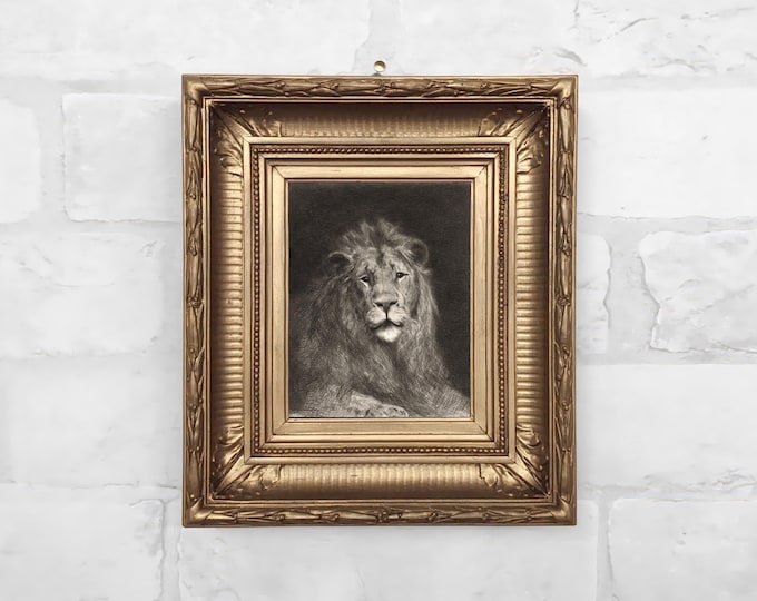 No. 131- Head of a lion by Jan van Essen c.1896