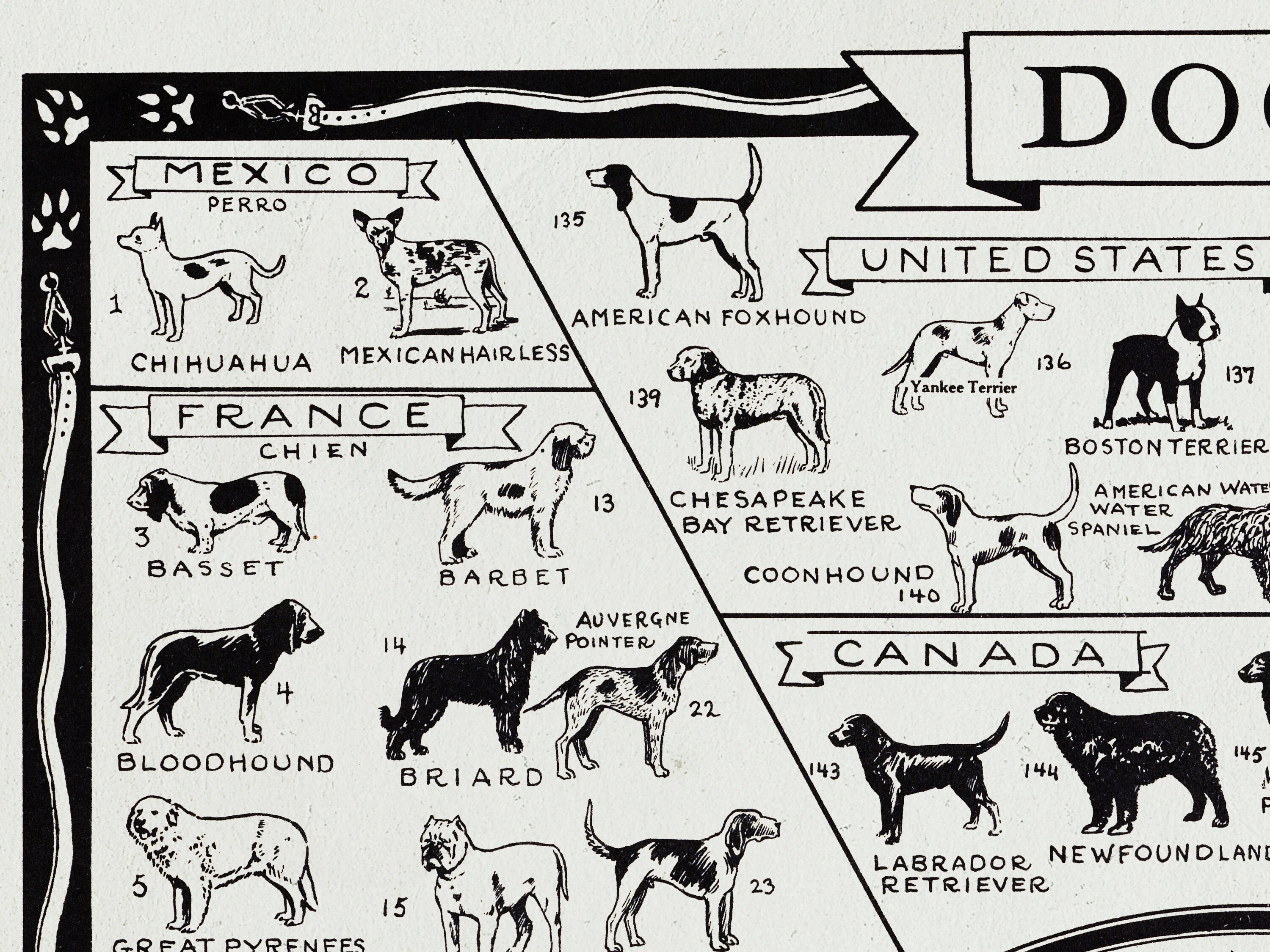 Dogs of All Nations World Map