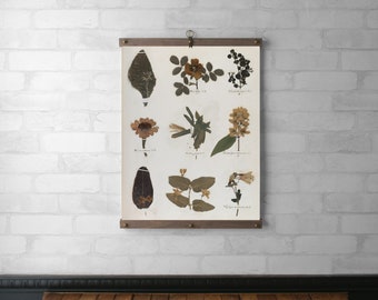 Emily Dickinson Herbarium Book Page | Botanical Tapestry Wall Hanging | Wood Hanging Frame | Canvas Print | Walnut or White Oak | Page 53