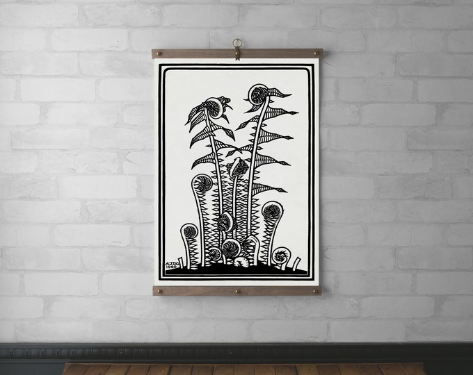 Fern Botanical Chart