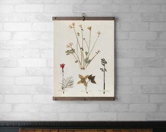 Emily Dickinson Herbarium Book Page | Botanical Tapestry Wall Hanging | Wood Hanging Frame | Canvas Print | Walnut or White Oak | Page 19