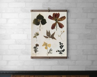 Emily Dickinson Herbarium Book Page | Botanical Tapestry Wall Hanging | Wood Hanging Frame | Canvas Print | Walnut or White Oak | Page 46