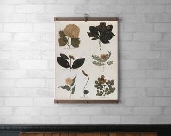 Emily Dickinson Herbarium Book Page | Botanical Tapestry Wall Hanging | Wood Hanging Frame | Canvas Print | Walnut or White Oak | Page 44