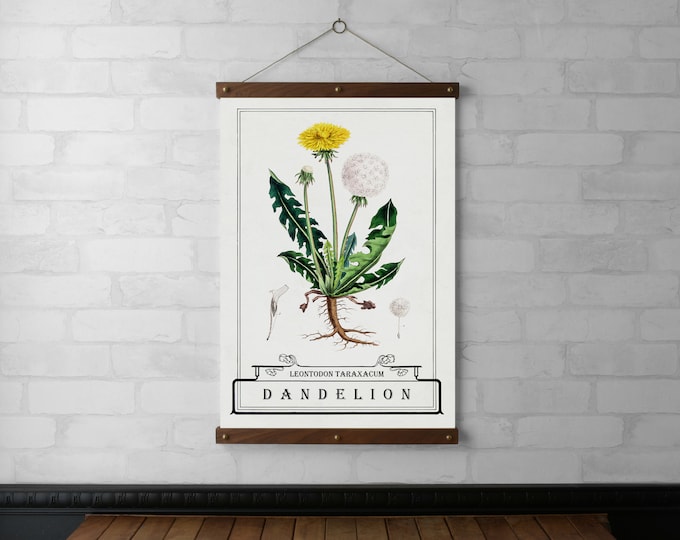 Dandelion Typography Botanical Chart