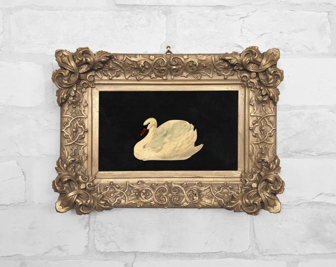 No. 45 - Mute Swan