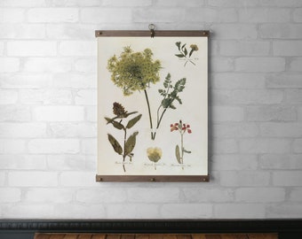 Emily Dickinson Herbarium Book Page | Botanical Tapestry Wall Hanging | Wood Hanging Frame | Canvas Print | Walnut or White Oak | Page 12