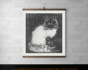 Wall Art Angora Cat Framed Art | Wall Hanging | Wood Hanging Frame | Canvas Print | Walnut or White Oak | Brass Hardware | Vintage Cat Print