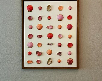 Blush Tides: Hand-Painted Shell Art