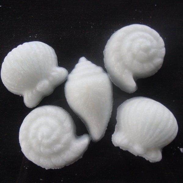 Sale, Candle Tarts, Candle Melts, Shaped Candles, Sea Shells, Coconut Craze, Shell Candles, Ready to Ship