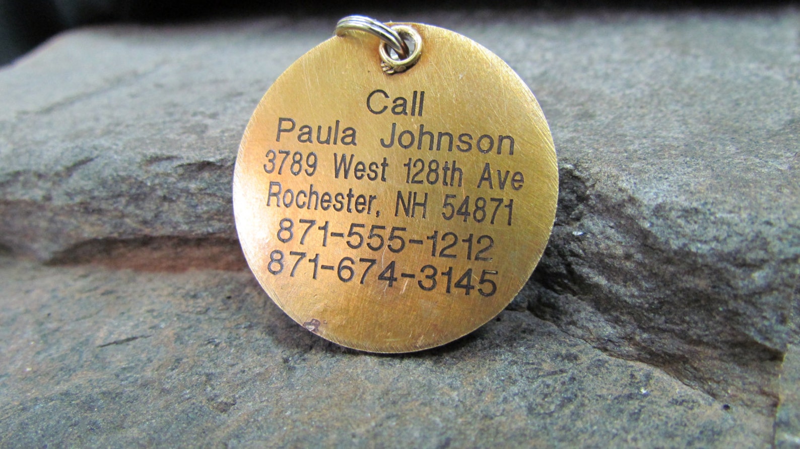 Large Dog Tag Custom Pet Tag Collar Tag Pet Tag Anchor Etsy