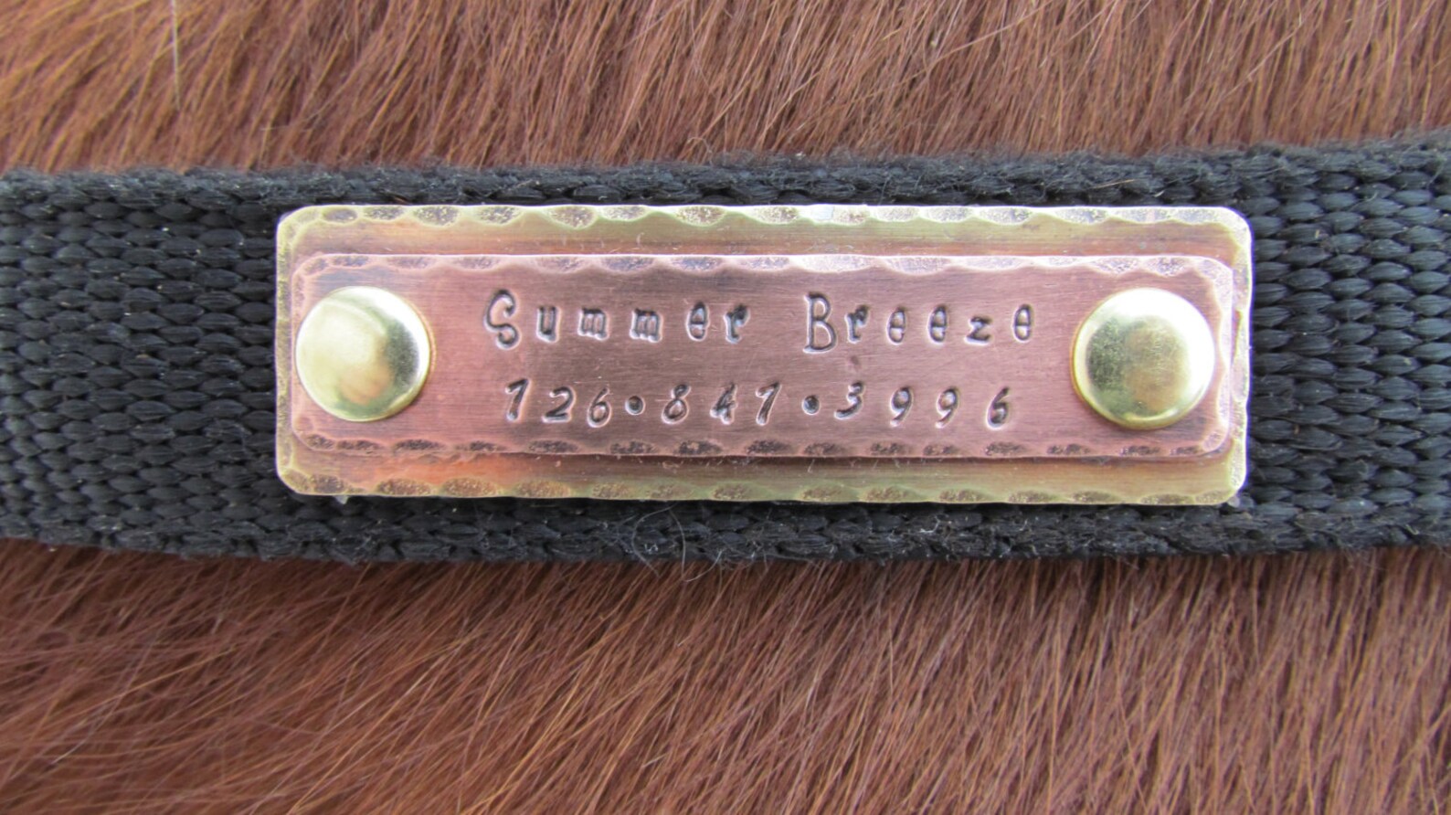 Horse Halter Tag Nameplate Pet ID Tag/tags Pet Tag/tags Etsy