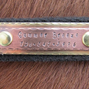 Puede incluir: Una placa de identificaci&oacute;n de caballo de cobre y lat&oacute;n con el nombre "Summer Breeze" y el n&uacute;mero de tel&eacute;fono "126.847.3996" grabados en ella.
