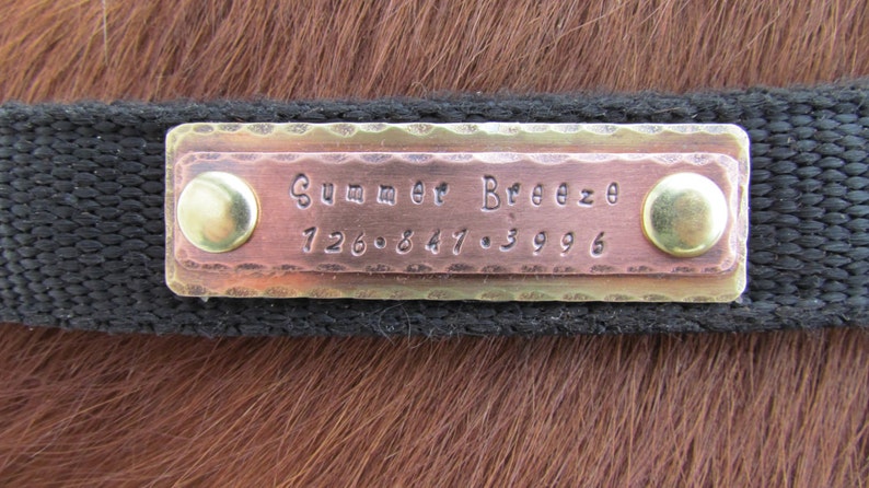 Puede incluir: Una placa de identificaci&oacute;n de caballo de cobre y lat&oacute;n con el nombre "Summer Breeze" y el n&uacute;mero de tel&eacute;fono "126.847.3996" grabados en ella.