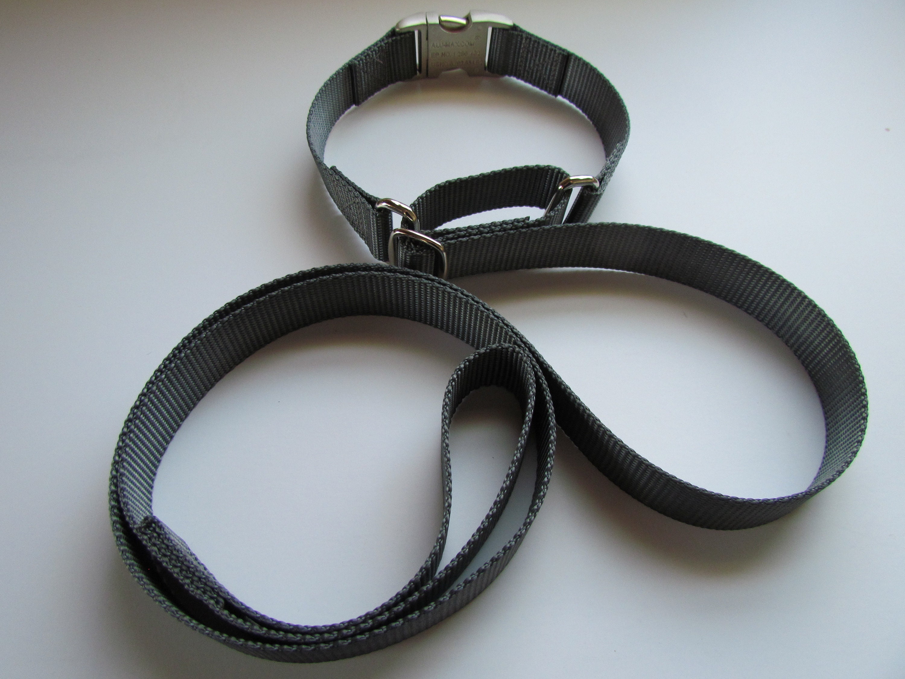 ALLINONE Martingale Collar with Attached Leash Etsy