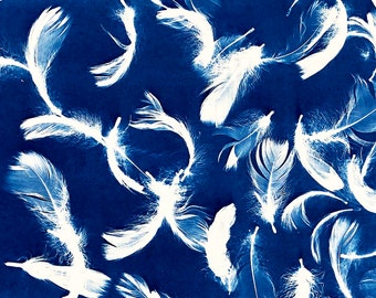 Handmade blueprint feathers endpapers • cyanotype paper for bookbinding or wall art