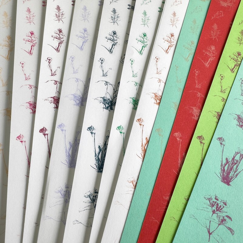 Endpapers - Etsy