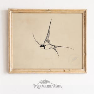Swallow Swooping Mid-Air - Vintage Sketchy Line Ink Drawing, Minimalist Printable Wall Art, Farmhouse Cottagecore Decor Digital 288