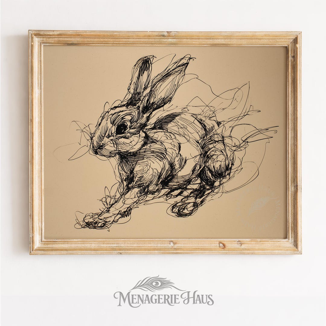 Cute Sketchy Rabbit Ink Drawing - Monochrome Pen Line Art, Rustic ...