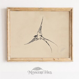 May include: A framed print featuring a black and white illustration of a swallow in flight. The bird has long tail feathers and outstretched wings. The artwork is set against a beige background and framed in a gold-toned wooden frame. The Menagerie Haus logo is at the bottom.