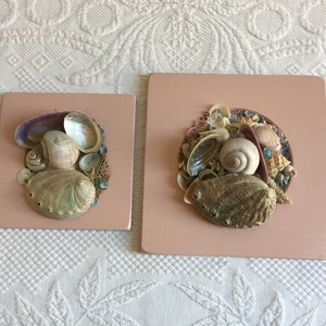 Peut inclure: Deux cadres carrés roses avec une variété de coquillages disposés en cercle. Les coquillages sont un mélange de couleurs et de textures, notamment blanc, brun, rose et irisé.