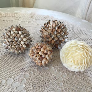 Puede incluir: Cuatro esferas decorativas. Tres están hechas de pequeñas conchas marinas en tonos beige, marrón y crema, dispuestas en forma esférica y puntiaguda. La cuarta esfera es blanca y tiene un diseño en capas, similar a pétalos. Descansan sobre un mantel de encaje.