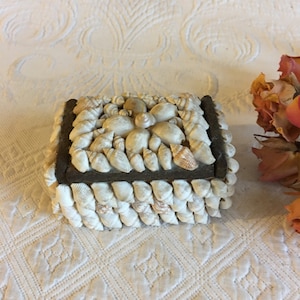 May include: A small, square box covered in seashells. The box is made of wood and has a brown border. The top of the box is decorated with a cluster of seashells in the centre.