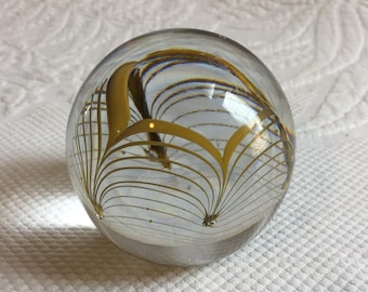 天然サンゴ化石ペーパーウェイト/ペーパーウェイト d2218 - Etsy 日本