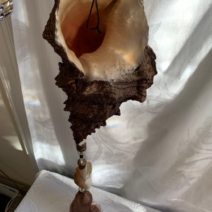 Vintage Large Seashell Dangling Beaded Long Tassel. Large Bronze Painted Seashell w/ Cord to Hang. Large Tassel with Beads. Philippines.