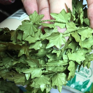 May include: Close-up of a roll of artificial ivy garland. The garland features many small, light green leaves attached to a twisted green cord. The leaves have a textured surface and are arranged closely together, creating a dense, leafy appearance.