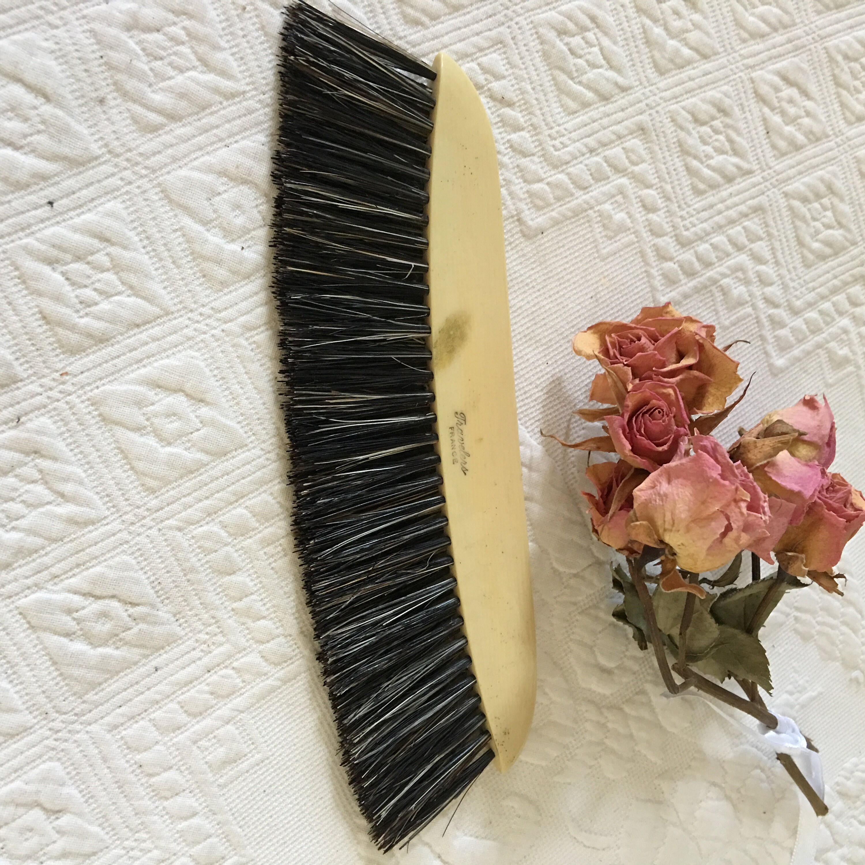 Antique Hat Brush From France. Curved Brush From Travelers Etsy