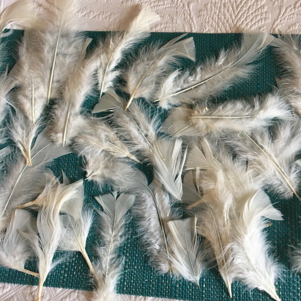 Vintage Short White Turkey Fluffs Feathers for Crafting or Hat Making. White Single Feathers. Vintage Dexter's Elgin, IL.