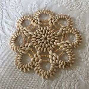 Puede incluir: Un posavasos circular de conchas blancas. El posavasos está hecho de muchas conchas pequeñas dispuestas en un patrón de círculos concéntricos.