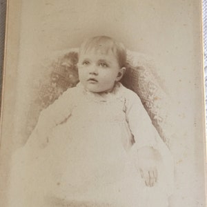 Antique 3 Baby and Cat Photographs. One by Anderson Haverhill, Mass ...