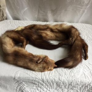 Stola vintage in visone anni &#39;20, larga 11 cm. Include testa, coda e zampe. Due animali in visone trasformati in colletto. Per impreziosire un cappotto o una borsa. Bellissima.