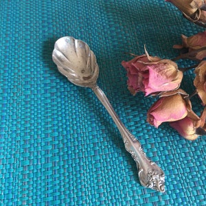 Vintage International Deep Silver Jelly Spoon. Silver Plate Condiment Spoon With Designed Bowl and Fancy Handle.
