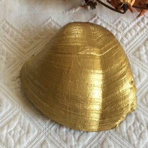 Lovely Gold Natural Seashell Painted in Metallic Gold for a Decorative Accent. Nature Remade. Accent Piece.