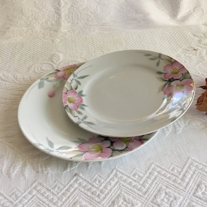 Vintage Noritake Azalea Pattern 7 1/2&quot; And 8 1/2&quot; Plates. Hand Painted 1920s or 1930s China. Made in Japan.