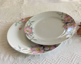 Vintage Noritake Azalea Pattern 7 1/2" And 8 1/2" Plates. Hand Painted 1920s or 1930s China. Made in Japan.